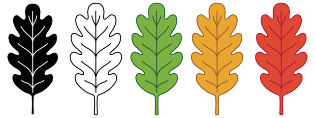 Oak Leaf Clipart Set - Outline, Silhouette and Colored