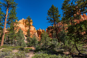 Queen Victoria's Garden in Bryce Canyon Ampitheater