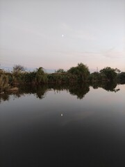 Obraz premium Moon, lake and reeds in the evening, vertical photo