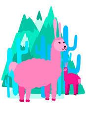 Llamas in the mountains 