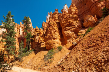 Hoo Doo's on the Navajo Trail in bryce Canyon Ampitheater