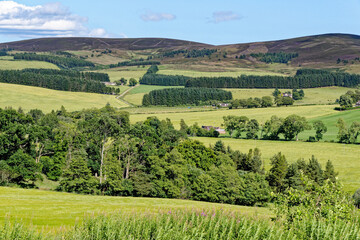 View of the countryside from the Craigievar castle grounds - Scotland