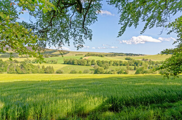 View of the countryside from the Craigievar castle grounds - Scotland