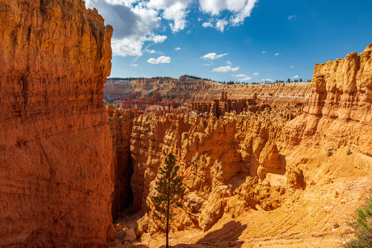 The Wall Street Trail in Bryce Canyon Ampitheater