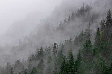 Fog clouds on a mountain slope
