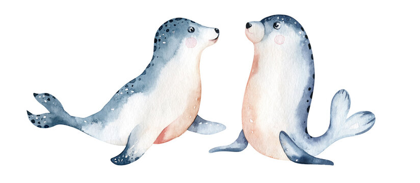 watercolor illustration of a seal with a baby polar seals isolated on a white background. Arctic water world animals. antarctic ocean wildlife