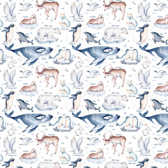 Seamless watercolor pattern nursery polar arctic animals watercolor collection set. snowy owl. reindeer. polar bear. fox. penguin, walrus. seal and oeca, hare whale