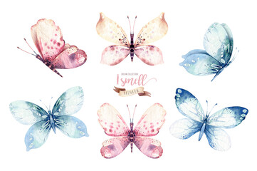 Watercolor colorful butterflies, isolated butterfly on white background. blue, yellow, pink and red butterfly spring illustration.