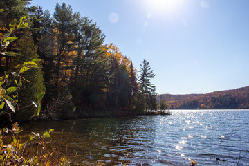 Obraz premium Gatineau Park, Quebec, Canada in Fall