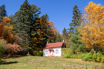 Gatineau Park, Quebec, Canada in Fall