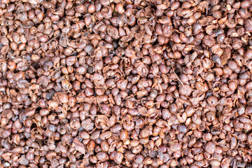 Coffee husks ready to be composted. Coffee hulls background. Dried skins of dried berries of the coffee plant. For loom or textures.