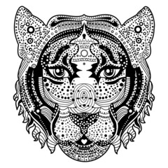 Tiger head illustration. Vector hand drawing. 