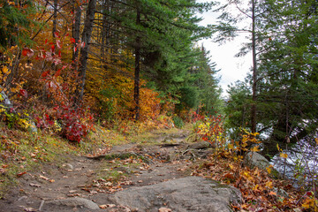 Obraz premium Gatineau Park, Quebec, Canada in Fall