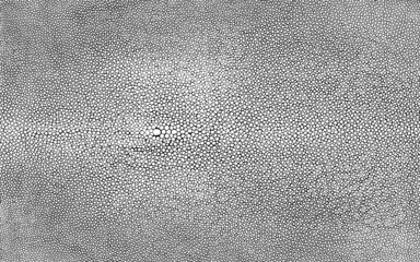 Shagreen stingray skin texture isolated high resolution