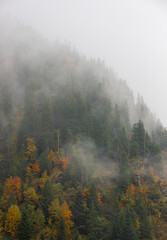 Steam after rain on a mountain slope