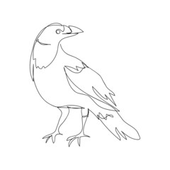 Jackdaw one line art. Continuous line drawing of halloween theme, gothic, ornithology, scary, bird.