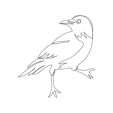 Rook one line art. Continuous line drawing of halloween theme, gothic, ornithology, scary, bird.