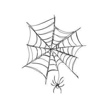 Little spider weaves a web one line art. Continuous line drawing of halloween theme, gothic, horrible, scary, black widow, karakurt, tarantula.