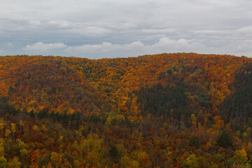 Autumn view of the mountain forest with bright multicolored foliage with large gray clouds. The forest in the mountains is shrouded in bright colors of autumn.