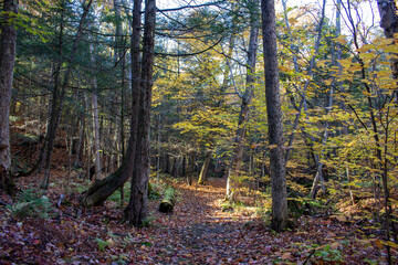 Obraz premium Montebello, Quebec, Canada in Fall