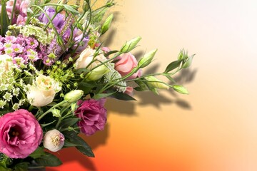 Fresh beautiful flowers on light color background.