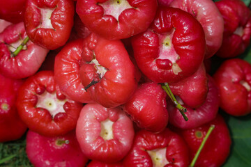 Group of Fresh ripe red rose apple fruits are ready for sale. Also know as jambu air Merah (Syzygium aqueum), jambu Semarang (Syzygium samarangense), Jambu Bol, or Malay Apple (Syzygium malaccense)