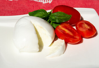 Cheese collection, white balls of Italian soft cheese mozzarella di bufala campana served with fresh basil and tomatoes