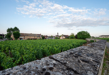 Aerian view on walled green grand cru and premier cru vineyards with rows of pinot noir grapes plants in Cote de nuits, making of famous red Burgundy wine in Burgundy region of eastern France.