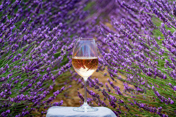 Summer in French Provence, cold gris rose wine from Cotes de Provence and colorful lavender fields on Valensole plateau, tastes and aromas of Provence, France