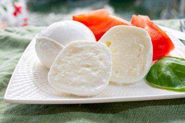 Cheese collection, fresh Italian soft cheese mozzarella di bufal campana served with fresh basil and tomatoes