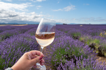 Summer in French Provence, cold gris rose wine from Cotes de Provence and colorful lavender fields...