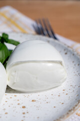 Cheese collection, white balls of Italian soft cheese mozzarella served with fresh tomatoes and basil