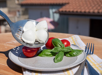 Cheese collection, white balls of Italian soft cheese mozzarella served with fresh tomatoes and basil