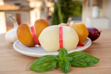 Cheese collection, variety of Italian cow milk cheese scamorza with Italian houses on background
