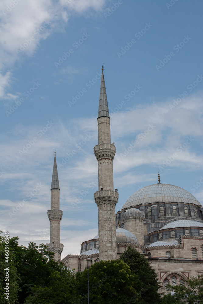 Canvas Prints vertical shot of sultan ahmed mosque in ä°stanbul, turkey