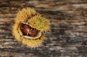 Ripe raw sweet chestnuts on wooden background from above, with copy space for text.