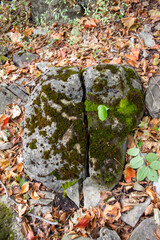 Niagara Glen, Ontario, Canada