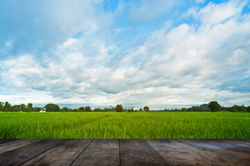 Fototapeta na wymiar wooden terrace with a beautiful rice field with blue sky and clouds.
