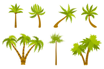 Cute cartoon palm set isolated on white background. Exotic trees in flat style. Double, triple palm. Tilted plant. 