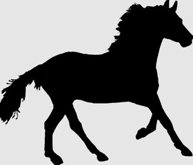 Fototapeta na wymiar horse silhouette vector
