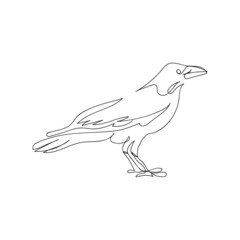 Raven one line art. Continuous line drawing of halloween theme, gothic, ornithology, scary, bird.