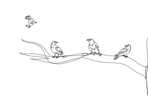 Crows on a tree branch one line art. Continuous line drawing of halloween theme, gothic, ornithology, raven, hoodie, rook, bird.