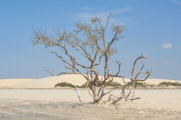 Jericoacoara Brazil