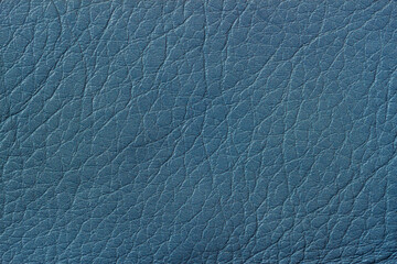 Texture of genuine leather close-up, blue color, cowhide. Modern background, copy space