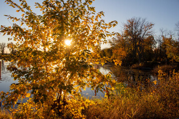 Parc National de Plaisance, QC, Canada