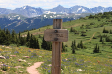 Trail Arrow Wood Sign