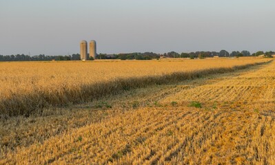 Half-harvested wheat field amid agricultural infrastructure
