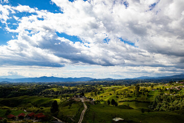 Coffe landscape Colombia 