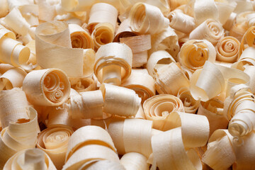 Wood shavings twisted into a spiral, close-up.