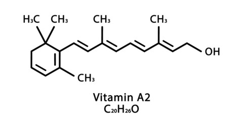 Vitamin A2 Dehydroretinol molecular structure. Vitamin A2 Dehydroretinol skeletal chemical formula. Chemical molecular formulas